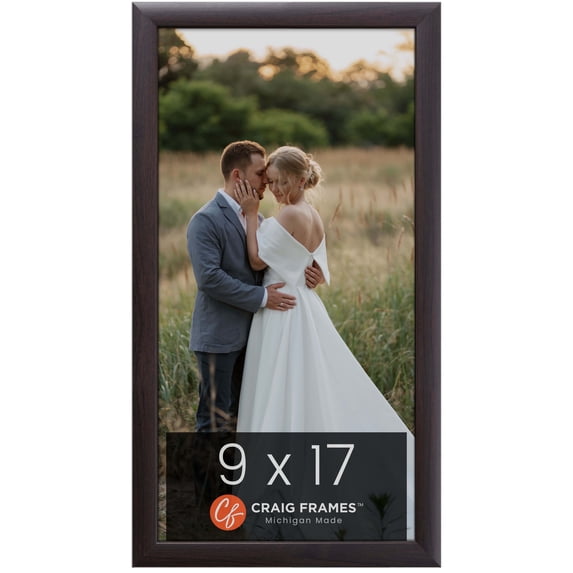 Craig Frames Contemporary, 9 x 17 inch Picture Frame, Brazilian Walnut Brown