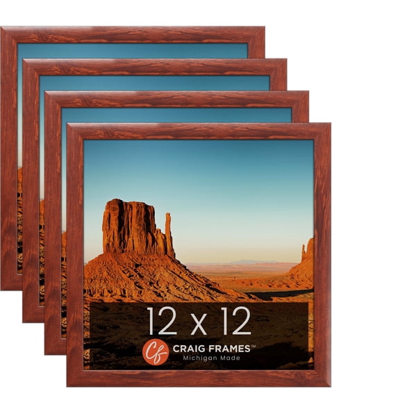 Craig Frames Contemporary Honey Brown Picture Frame, Set of 4
