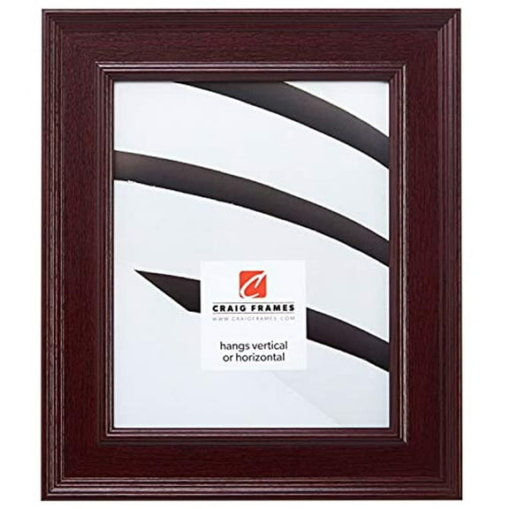 Craig Frames Contemporary Mahogany Red Picture Frame