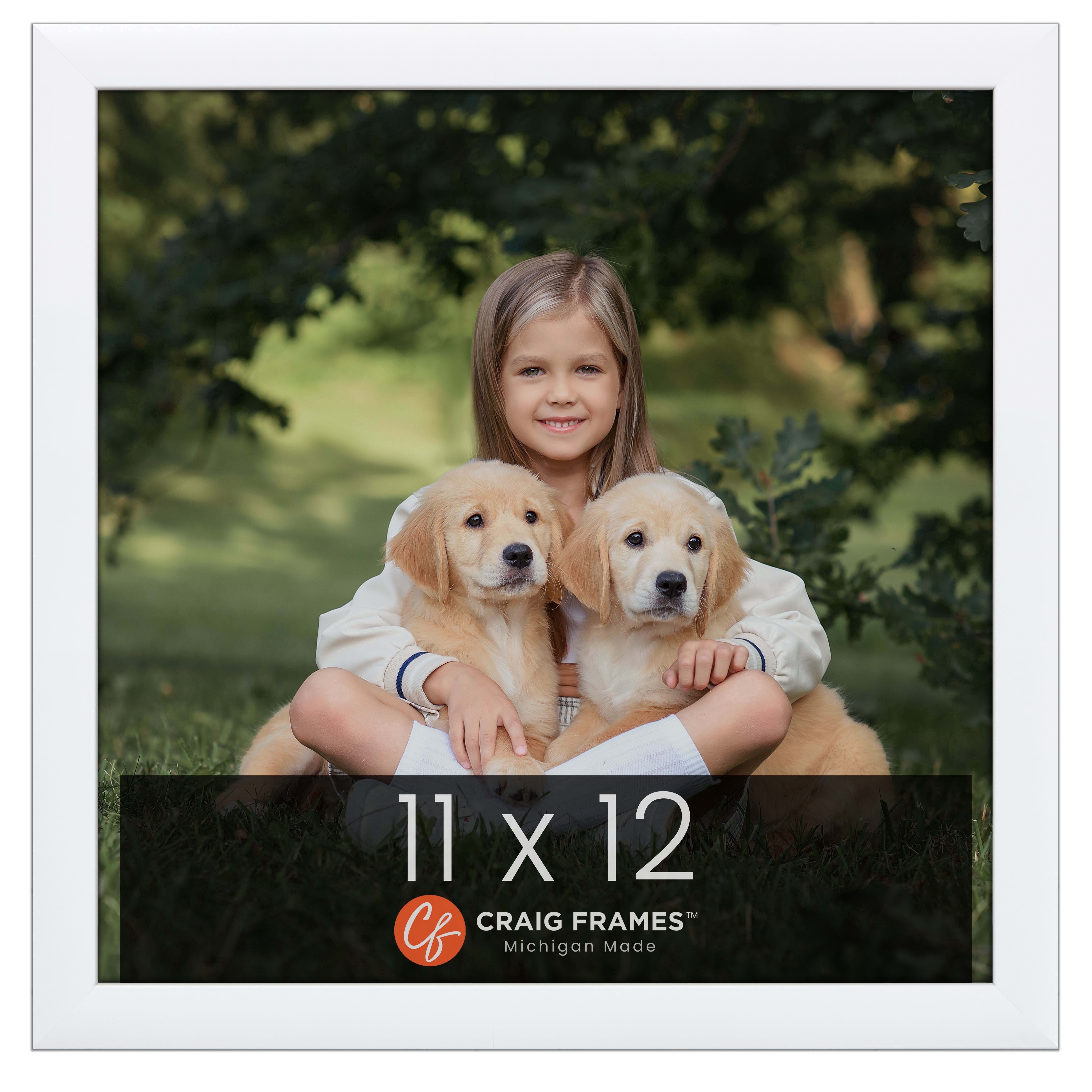 Craig Frames Contemporary Picture Frame, 11x12 Inch, White - Walmart.com