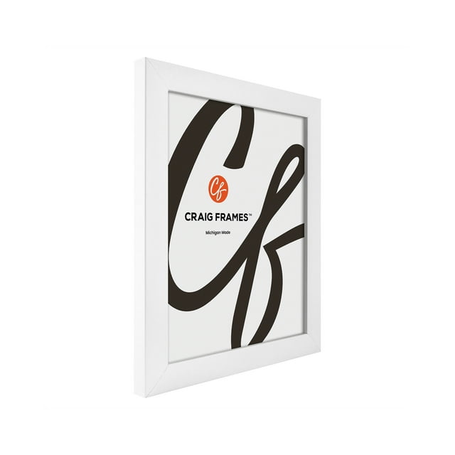 Craig Frames Contemporary Picture Frame, 12x29 Inch, White