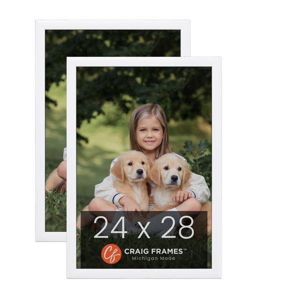 Craig Frames Contemporary Picture Frame, 24x28 Inch, White, Set of 2