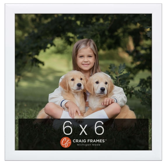 Craig Frames Contemporary Picture Frame, 6x6 Inch, White