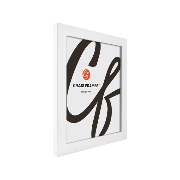 Craig Frames Contemporary Picture Frame, 8x20 Inch, White