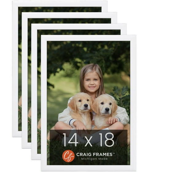 Craig Frames Contemporary White Satin Picture Frame, Set of 4