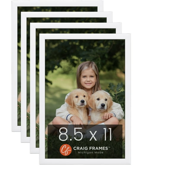 Craig Frames Contemporary White Satin Picture Frame, Set of 4