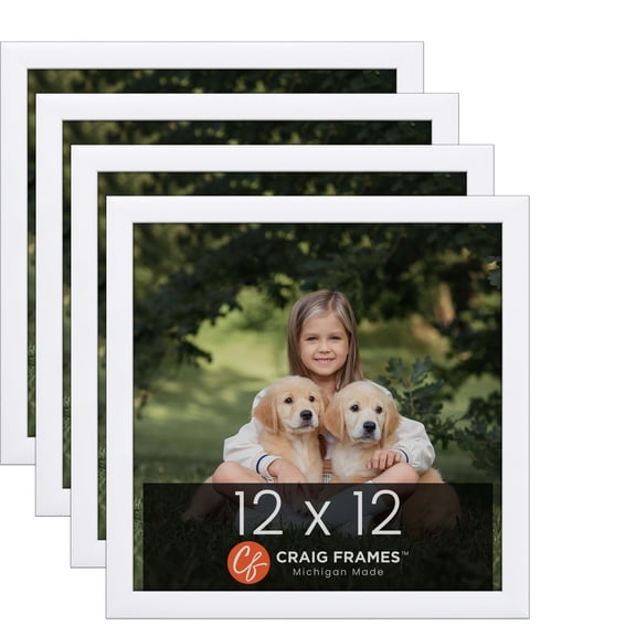 Craig Frames Contemporary White Satin Picture Frame, Set of 4
