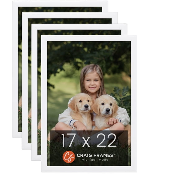 Craig Frames Contemporary White Satin Picture Frame, Set of 4