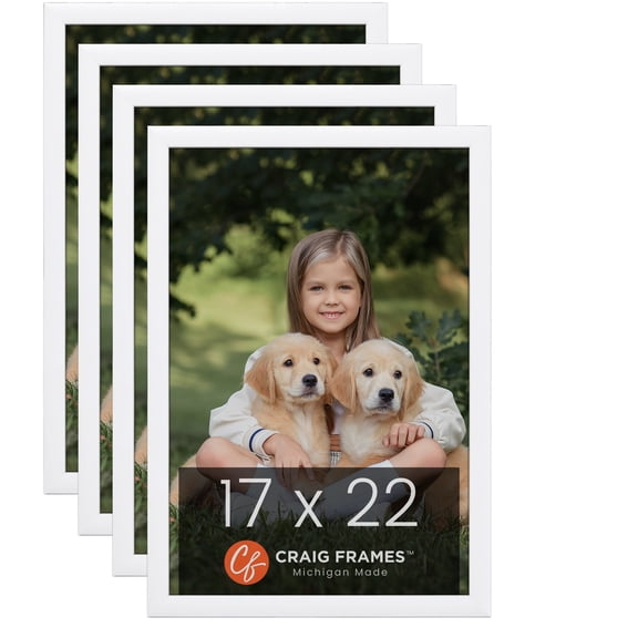 Craig Frames Contemporary White Satin Picture Frame, Set of 4
