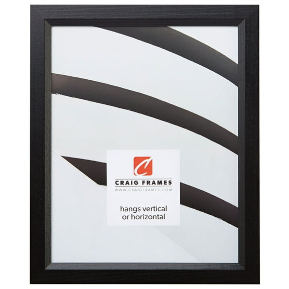 Craig Frames Economy, 12x18 inch Picture Frame, Ebony Black Hardwood