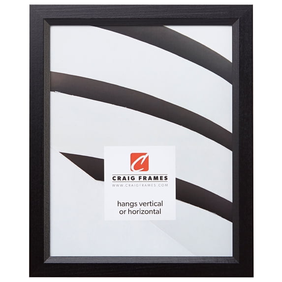 Craig Frames Economy, 20 x 27 inch Picture Frame, Ebony Black Hardwood