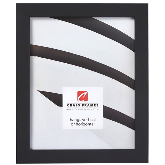 Craig Frames Essentials, 10x16 inch Picture Frame, Modern 1-inch