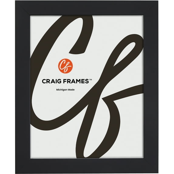 Craig Frames Essentials, 12x25 Inch Picture Frame, 1 Inch Wide Modern, Satin Black