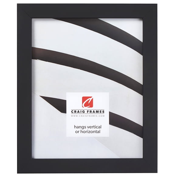 Craig Frames Essentials, 13x16 inch Picture Frame, Modern 1-inch