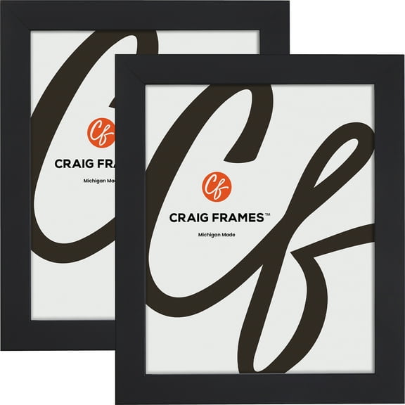 Craig Frames Essentials, 14x23 Inch Picture Frame, 1 Inch Wide Modern, Satin Black, Set of 2