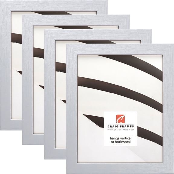 Craig Frames Essentials, 16x20 inch Picture Frame, Brushed Silver, Set of 4