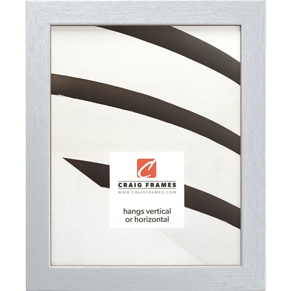 Craig Frames Essentials, 16x24 inch Picture Frame, Brushed Silver