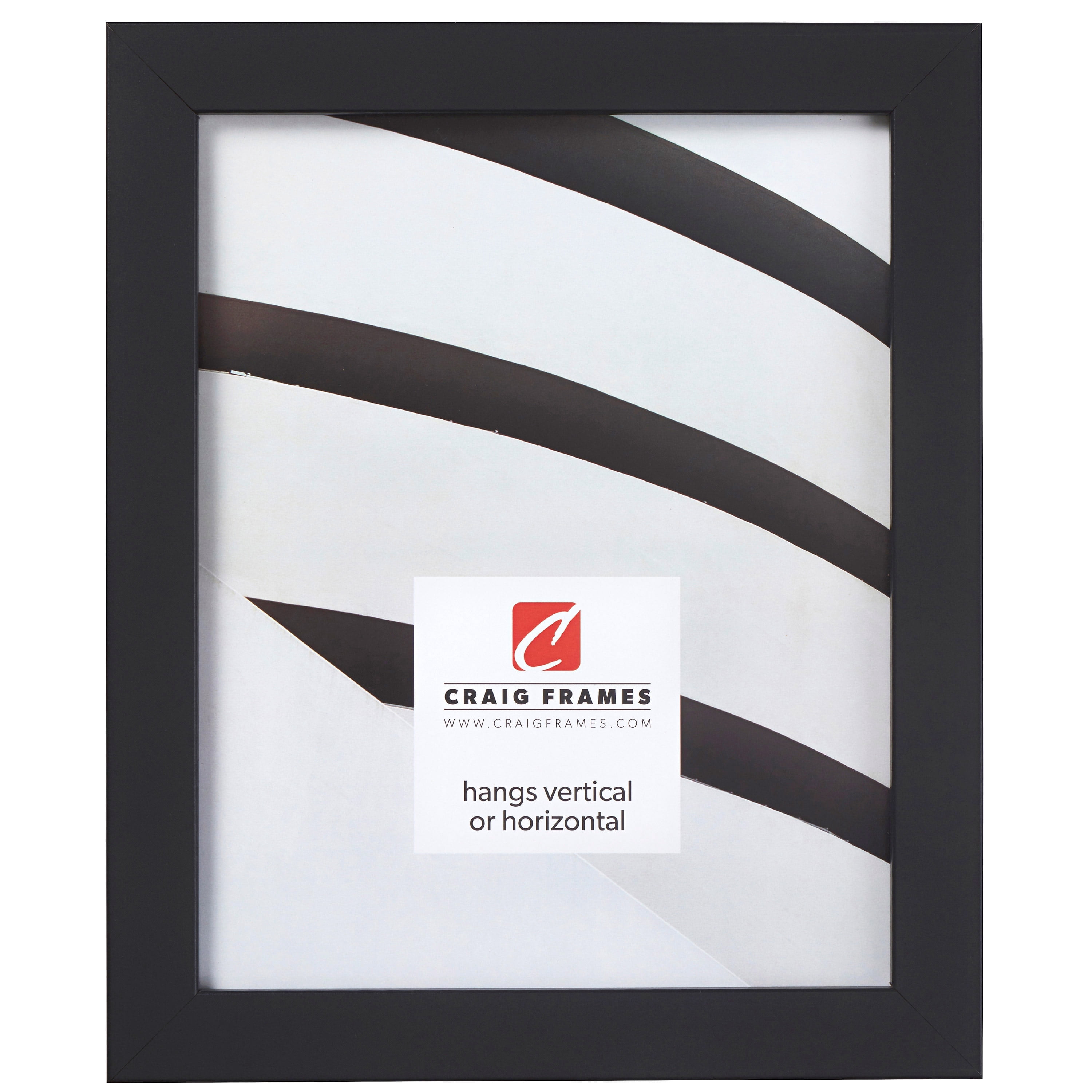 Craig Frames Essentials, 18x24 inch Picture Frame, Modern 1-inch
