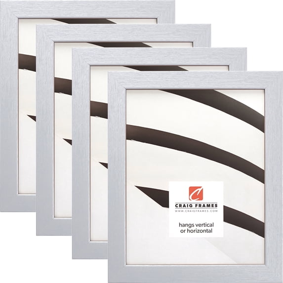 Craig Frames Essentials, 20x20 inch Picture Frame, Brushed Silver, Set of 4