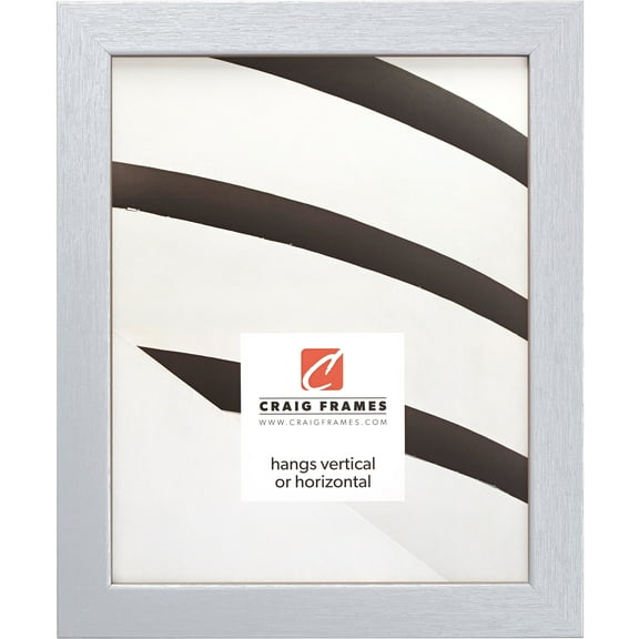 Craig Frames Essentials, 20x20 inch Picture Frame, Brushed Silver
