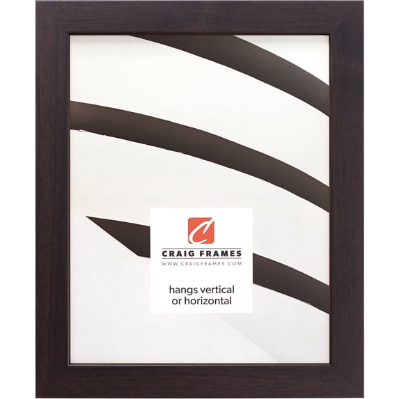 Craig Frames Essentials, 20x24 inch Picture Frame, Brazilian Walnut