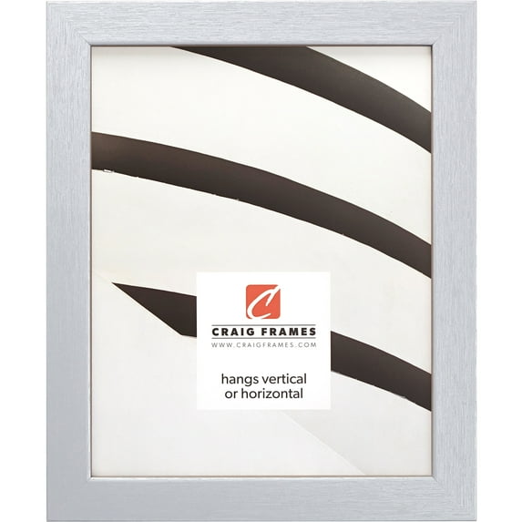 Craig Frames Essentials, 20x24 inch Picture Frame, Brushed Silver