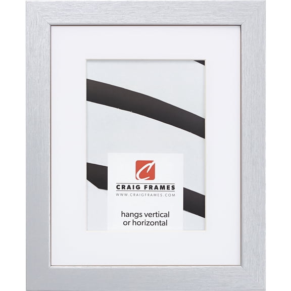 Craig Frames Essentials, 20x24 inch Picture Frame Matted for a 16x20 Photo, Brushed Silver