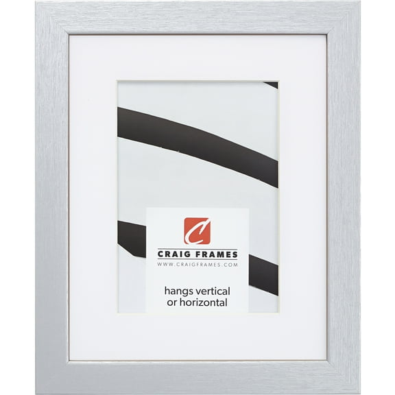 Craig Frames Essentials, 20x24 inch Picture Frame Matted for a 16x20 Photo, Brushed Silver