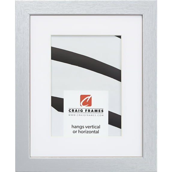 Craig Frames Essentials, 20x24 inch Picture Frame Matted for a 16x20 Photo, Brushed Silver