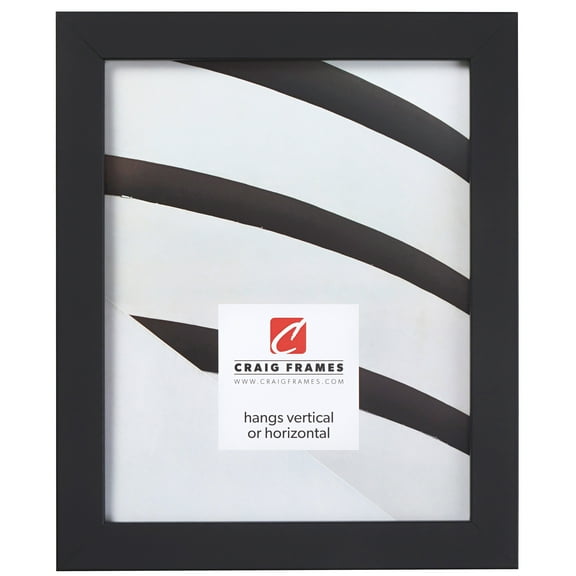 Craig Frames Essentials, 20x26 inch Picture Frame, Modern 1-inch