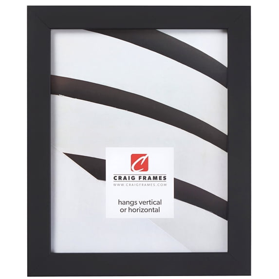 Craig Frames Essentials, 20x30 inch Picture Frame, Modern 1-inch