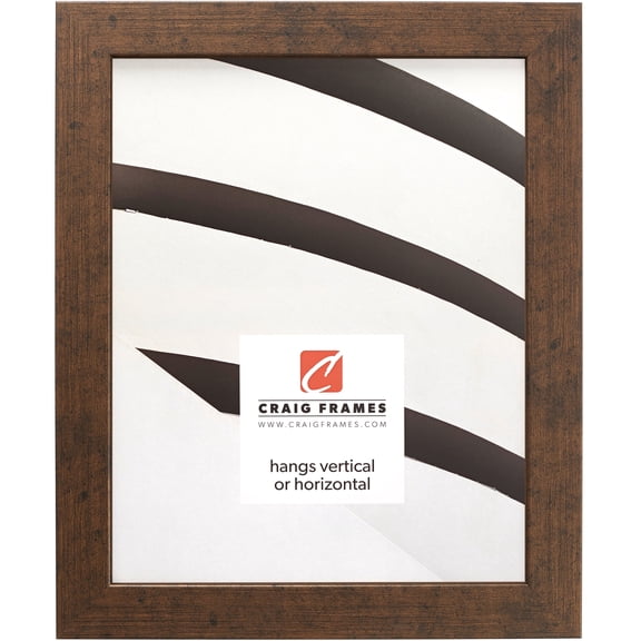 Craig Frames Essentials, 22x28 inch Picture Frame, Rustic Copper