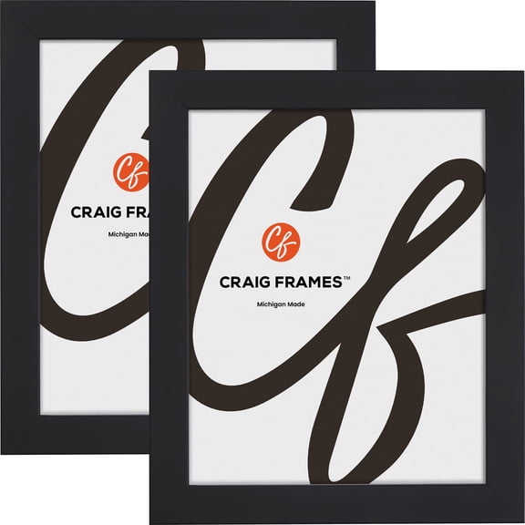 Craig Frames Essentials, 24x28 Inch Picture Frame, 1 Inch Wide Modern, Satin Black, Set of 2