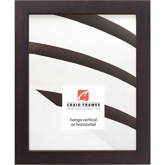 Craig Frames Essentials, 4x10 inch Picture Frame, Brazilian Walnut