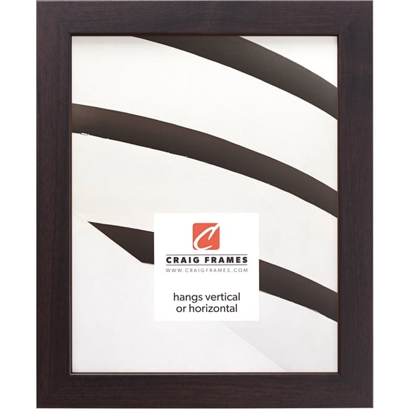 Craig Frames Essentials, 4x10 inch Picture Frame, Brazilian Walnut