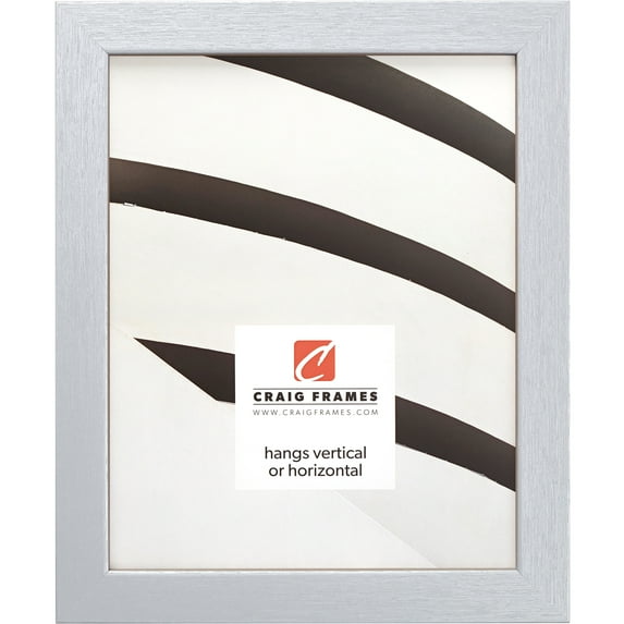 Craig Frames Essentials, 4x10 inch Picture Frame, Brushed Silver