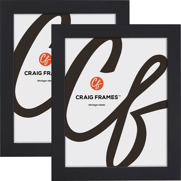 Craig Frames Essentials, 4x6 Inch Picture Frame, 1 Inch Wide Modern, Satin Black, Set of 2