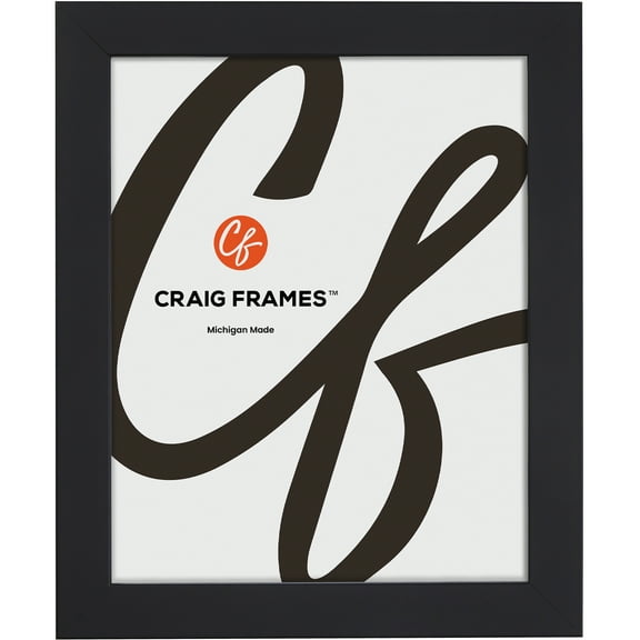 Craig Frames Essentials, 4x8 Inch Picture Frame, 1 Inch Wide Modern, Satin Black