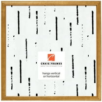 Craig Frames Farnsworth, 24x24 inch Picture Frame, Gold