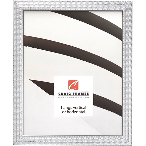 Craig Frames Farnsworth, 24x30 inch Picture Frame, Silver