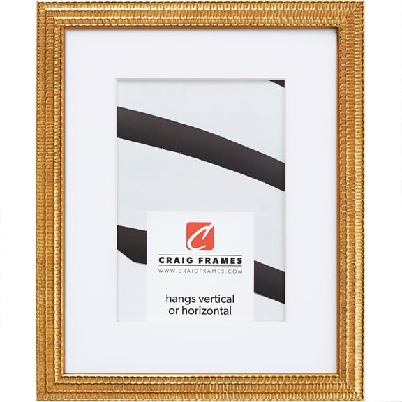 Craig Frames Farnsworth, 24x32 inch Picture Frame Matted for a 20x28 Photo, Gold