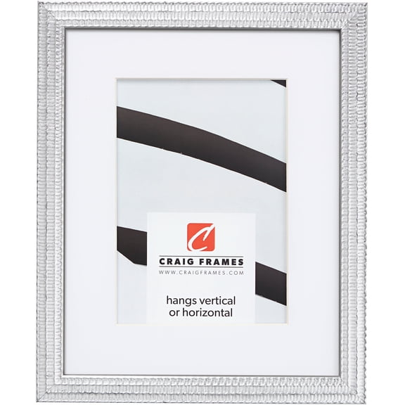 Craig Frames Farnsworth, 24x32 inch Picture Frame Matted for a 20x28 Photo, Silver