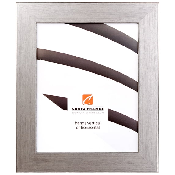 Craig Frames Fiftynine, 10x12 inch Picture Frame, Salerno Silver