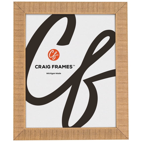 Craig Frames Linear, 19x27 Picture Frame, Gold