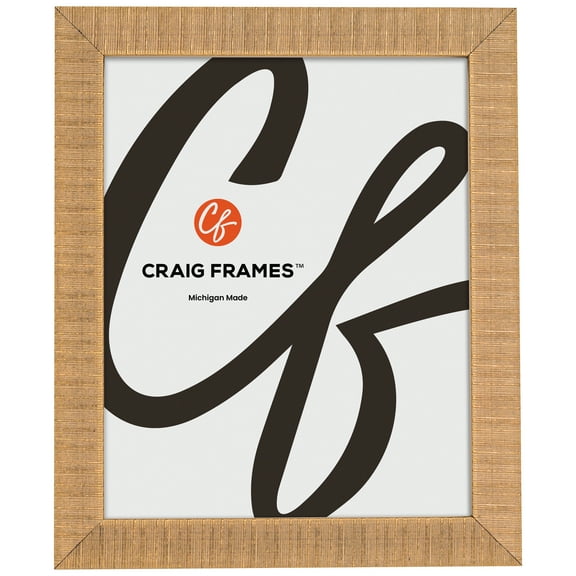 Craig Frames Linear, 21x28 Picture Frame, Gold