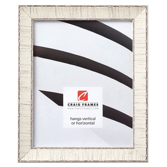 Craig Frames Marea, 20x24 inch Picture Frame, Weathered Off-White Birch Bark