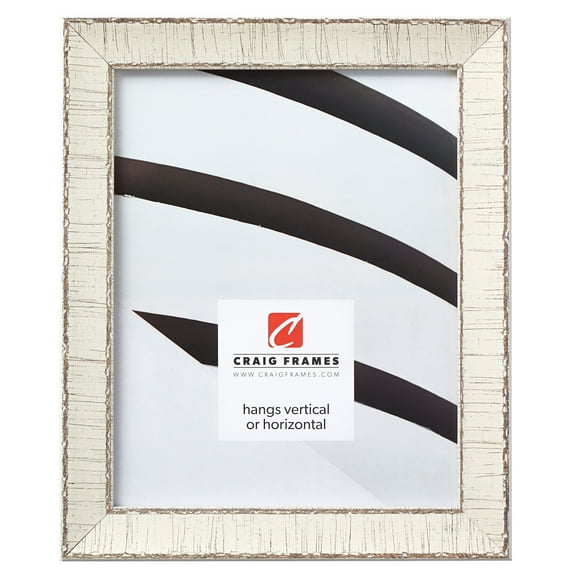 Craig Frames Marea, 20x26 inch Picture Frame, Weathered Off-White Birch Bark
