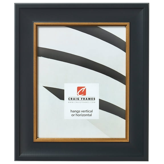 Craig Frames Martin, 12x18 inch Picture Frame, Black Velvet and Gold