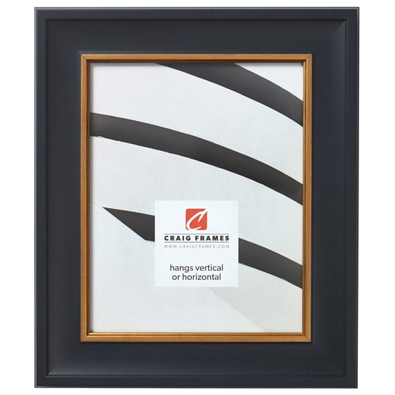 Craig Frames Martin, 20x24 inch Picture Frame, Black Velvet and Gold
