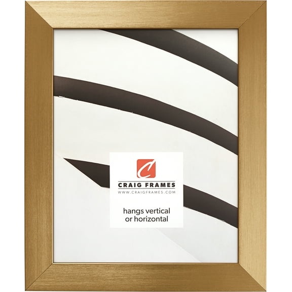 Craig Frames Modern Aesthetics 125, 10x12 inch Picture Frame, Gold